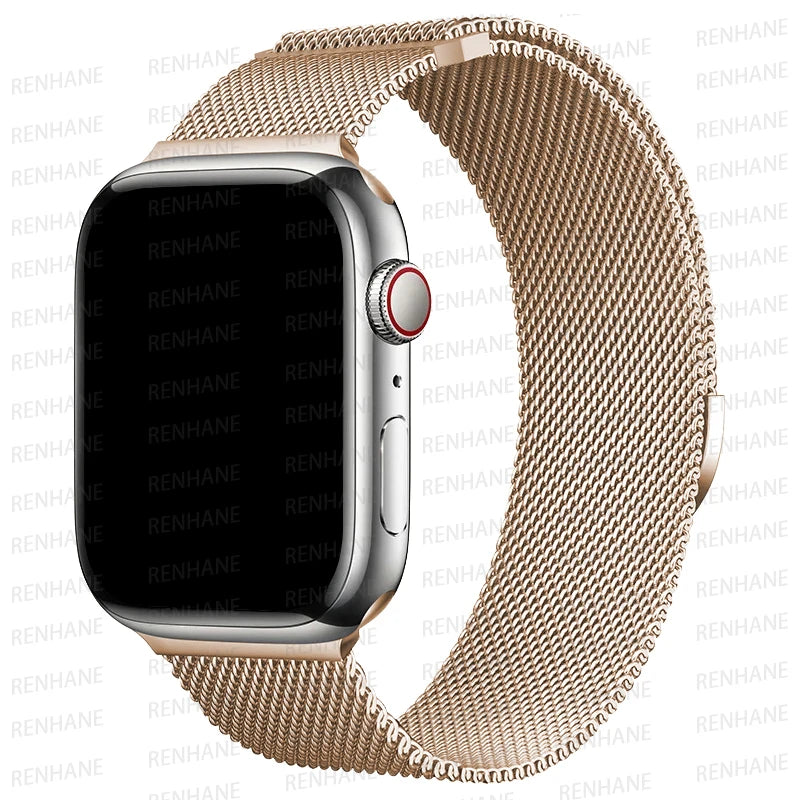 49513786442033|49513786474801